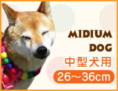 中型犬用