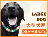 大型犬用
